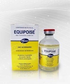 equipoise, equipoise steroid, equipoise for sale, Boldenone Undecylenate